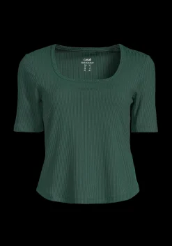 Scoop Rib Tee - Dark Pine